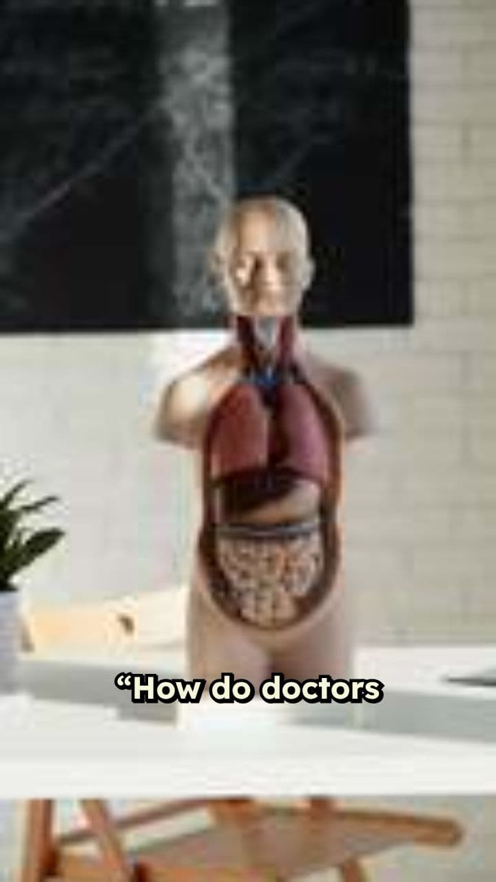 Inside Your Body: Medical Imaging Explained