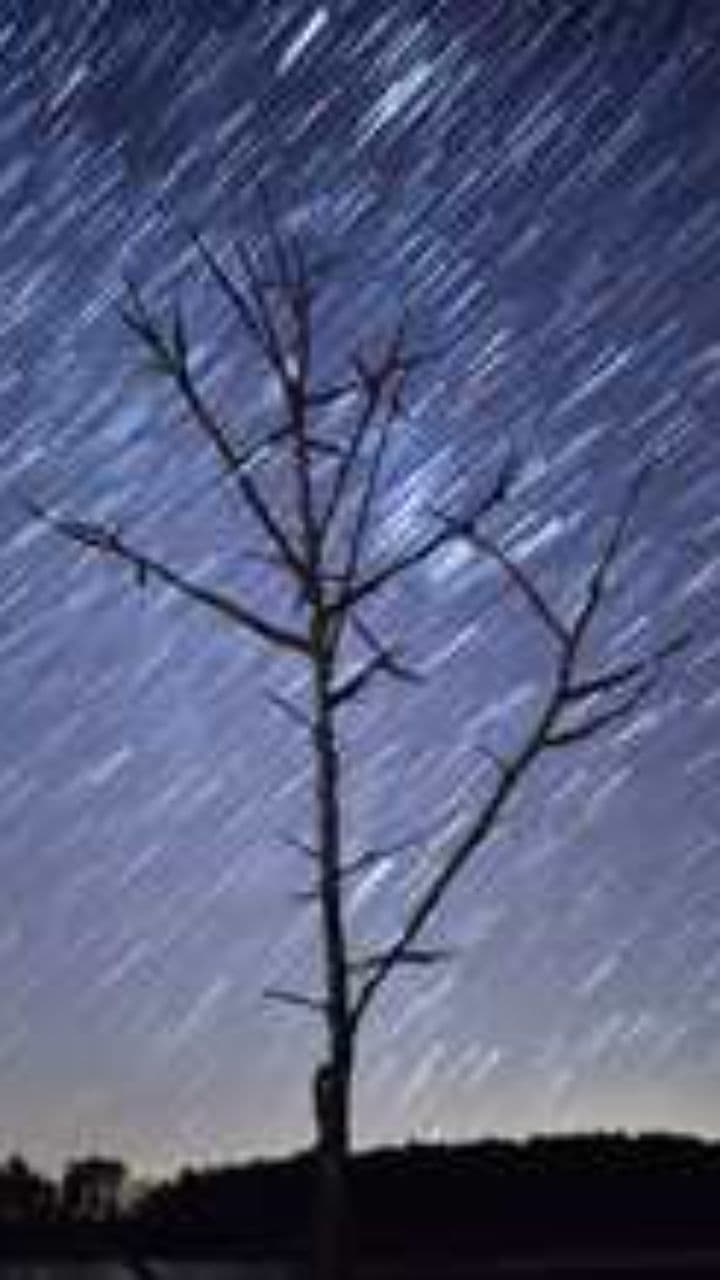 شبِ انتظارِ بی‌ثمر