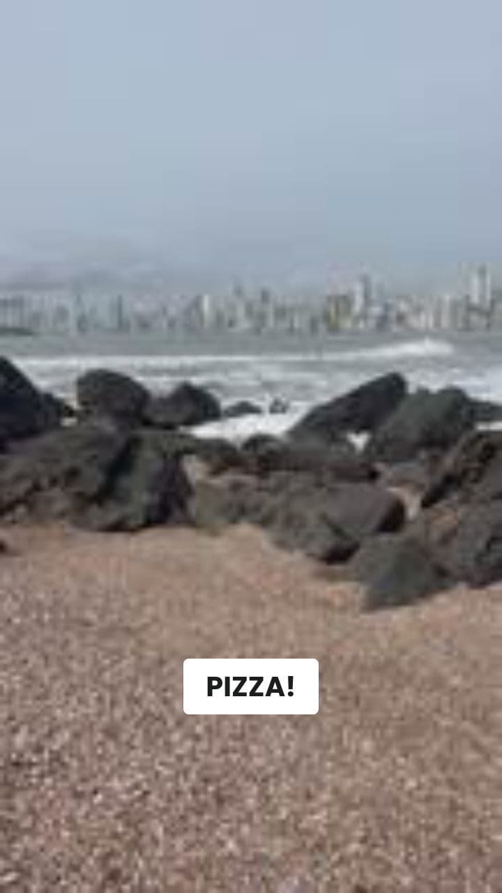 Cat Shark-Melon City Mayhem