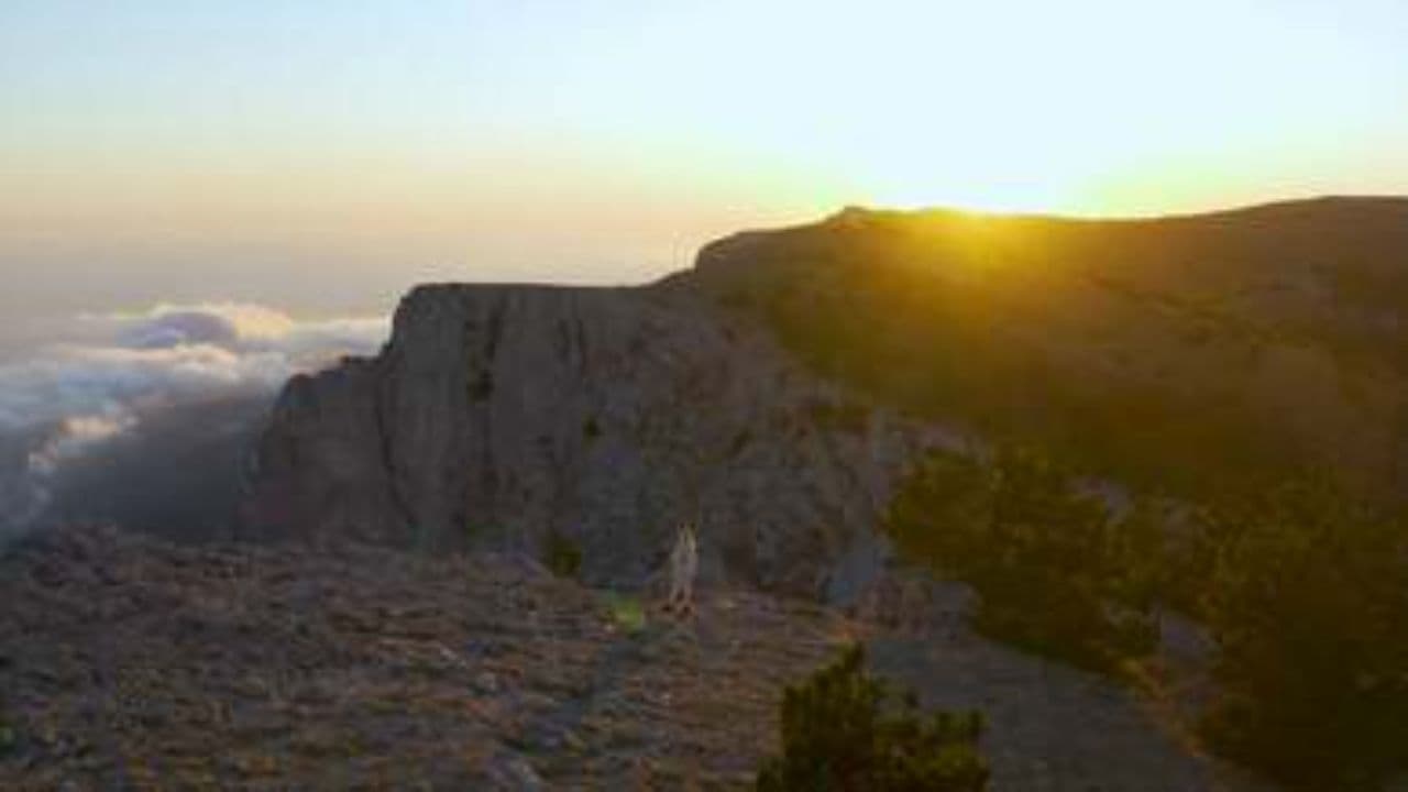 I Let Go in Your River