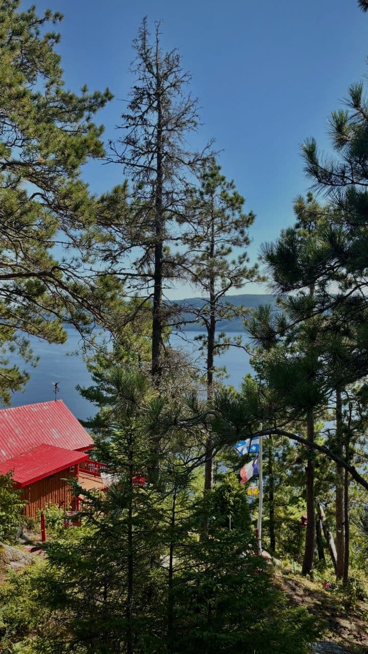 Je ne veux plus rentrer du Canada