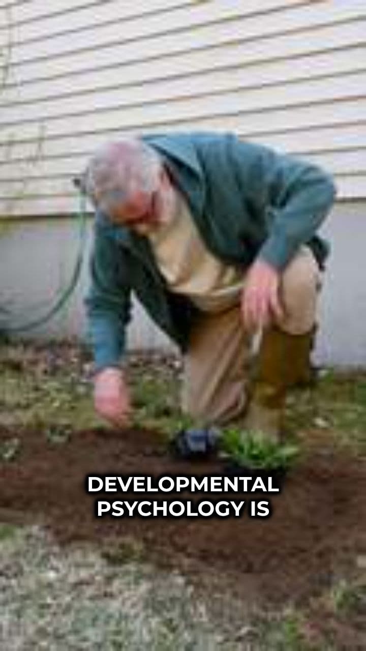 Developmental Psychology Explained