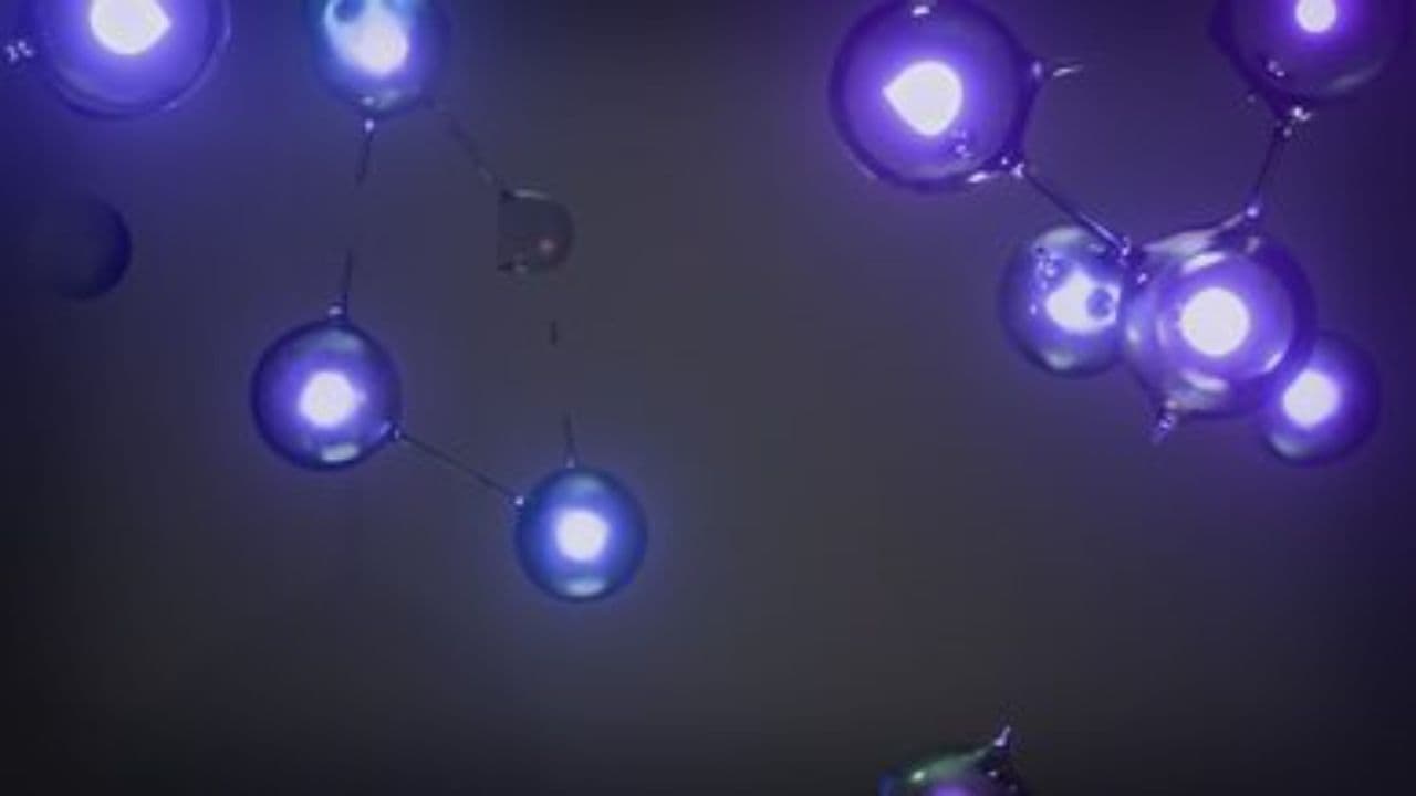 Neon Echoes After the Signal DM3