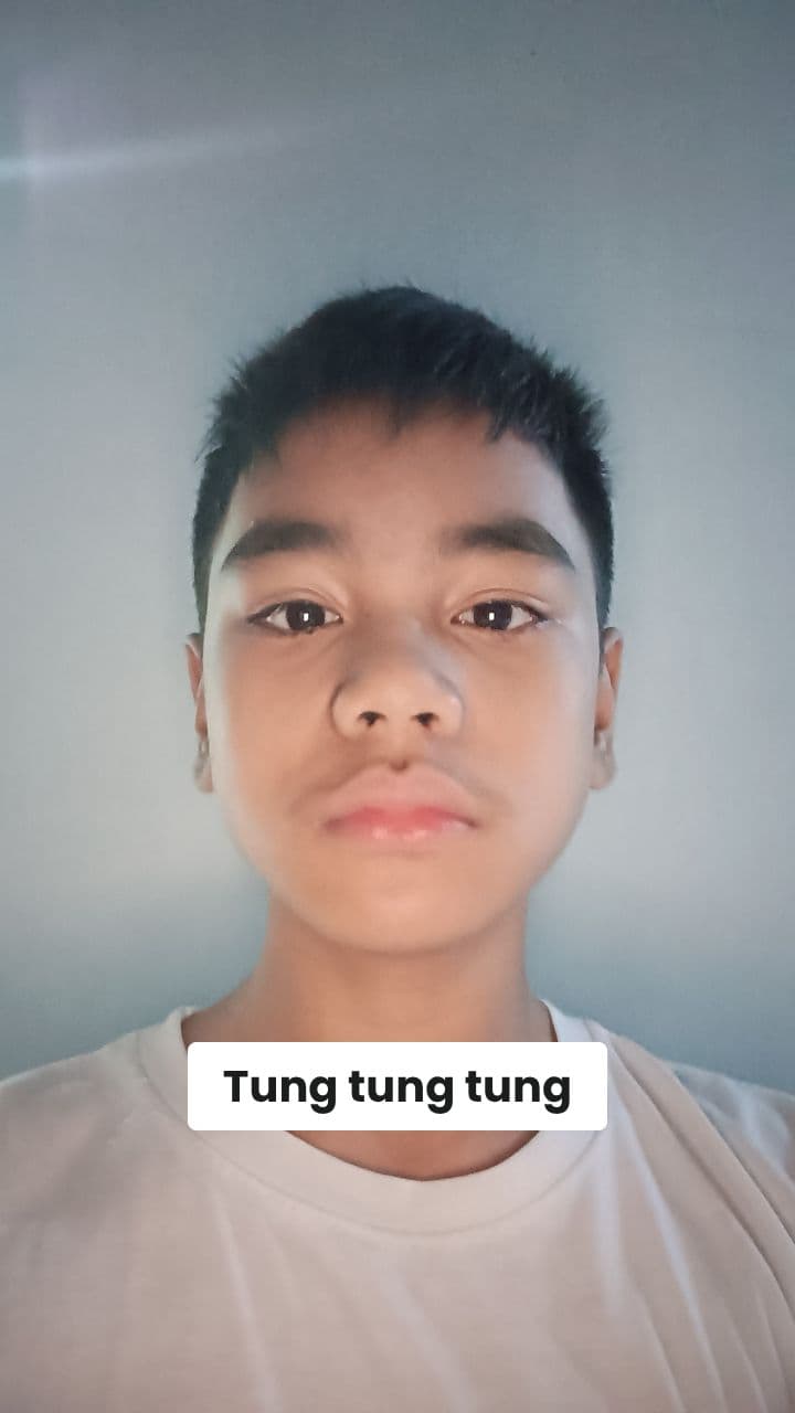 Tung Tung Sahur Brainrot