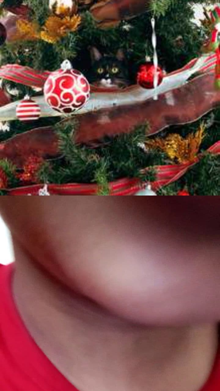 வினோத்தின் புதிய குடும்பம்