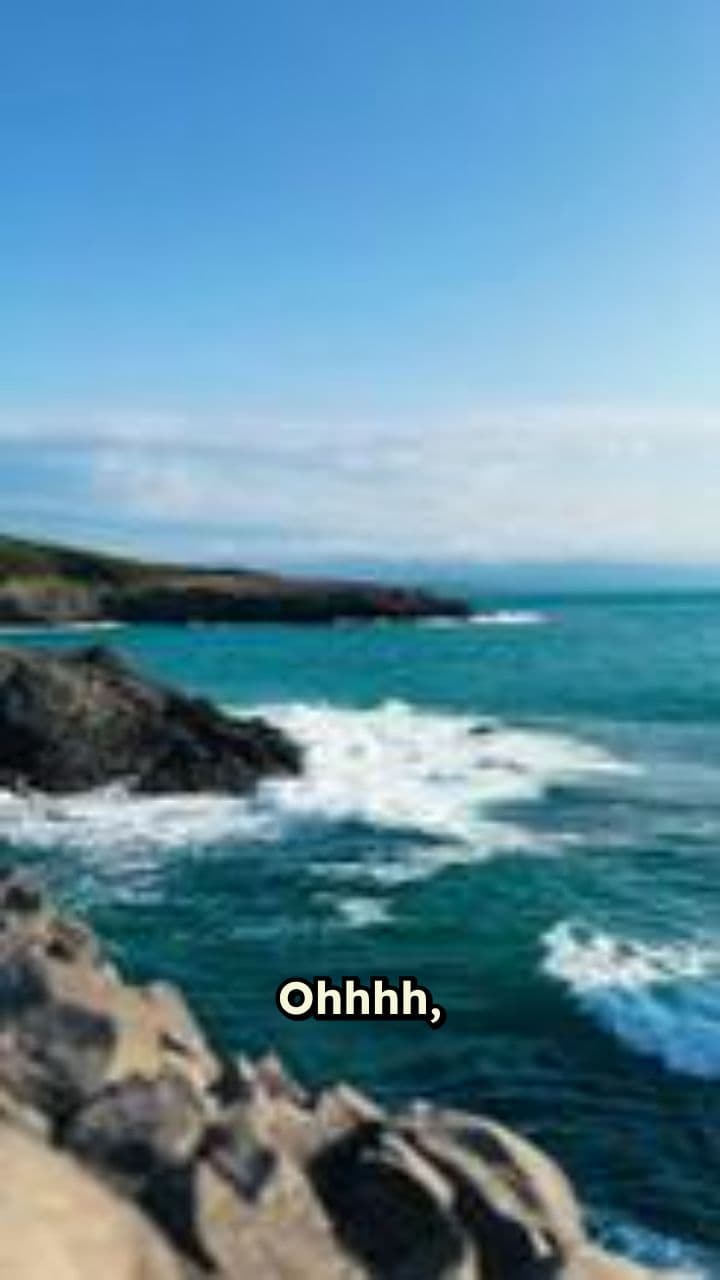 SqualoLegno: Il Caos Acuto!