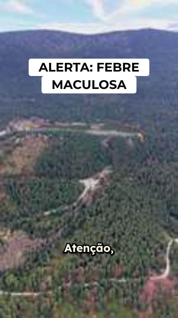 Alerta de Febre Maculosa em Campinas