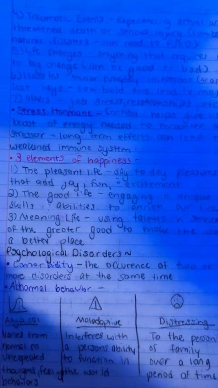 Image transform video