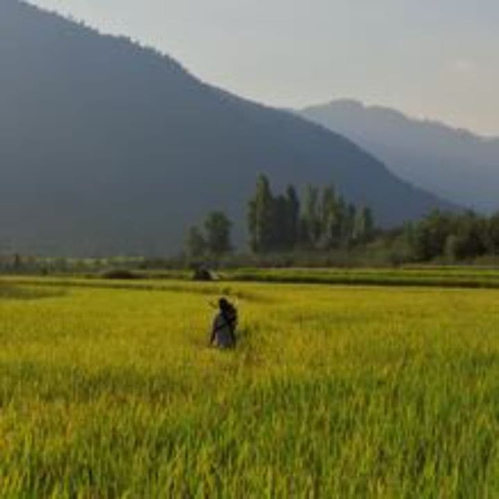 Снова один: музыка души