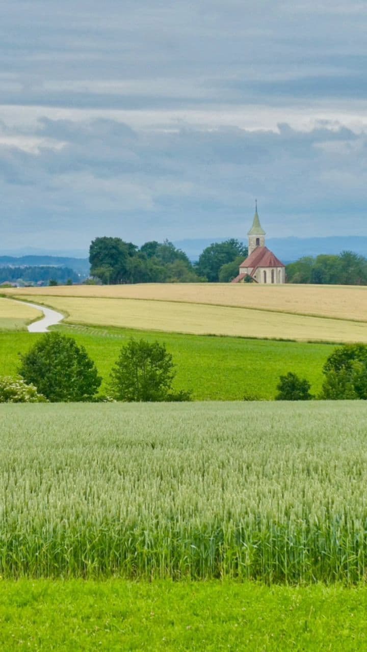 Gratidão pela Jornada Espiritual