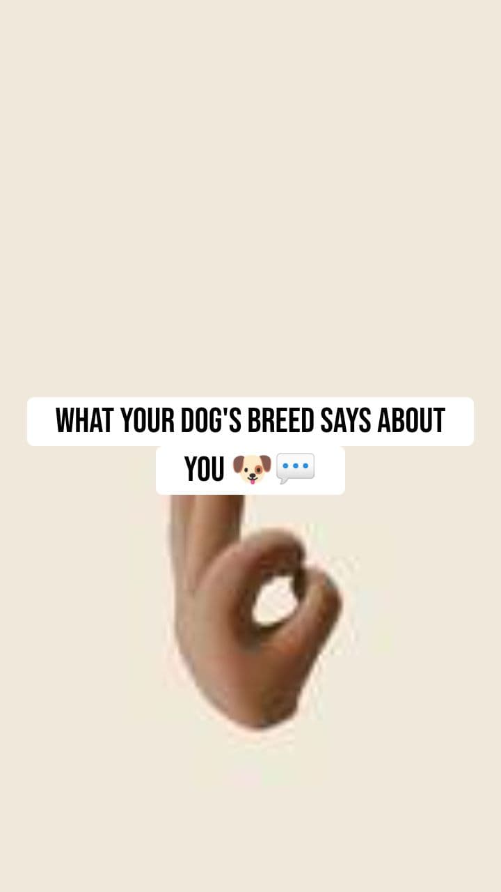 What Your Dog's Breed Says About You 🐶💬