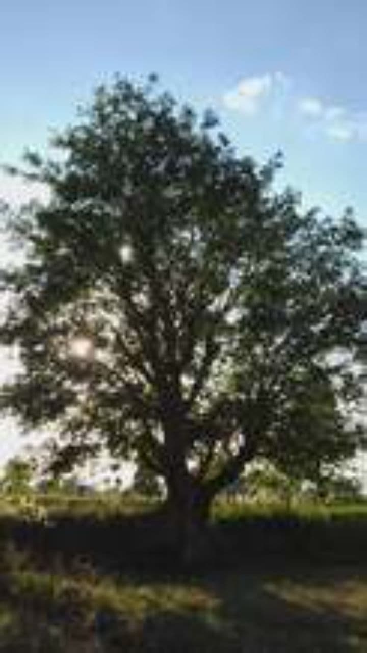 Debout dans le froid