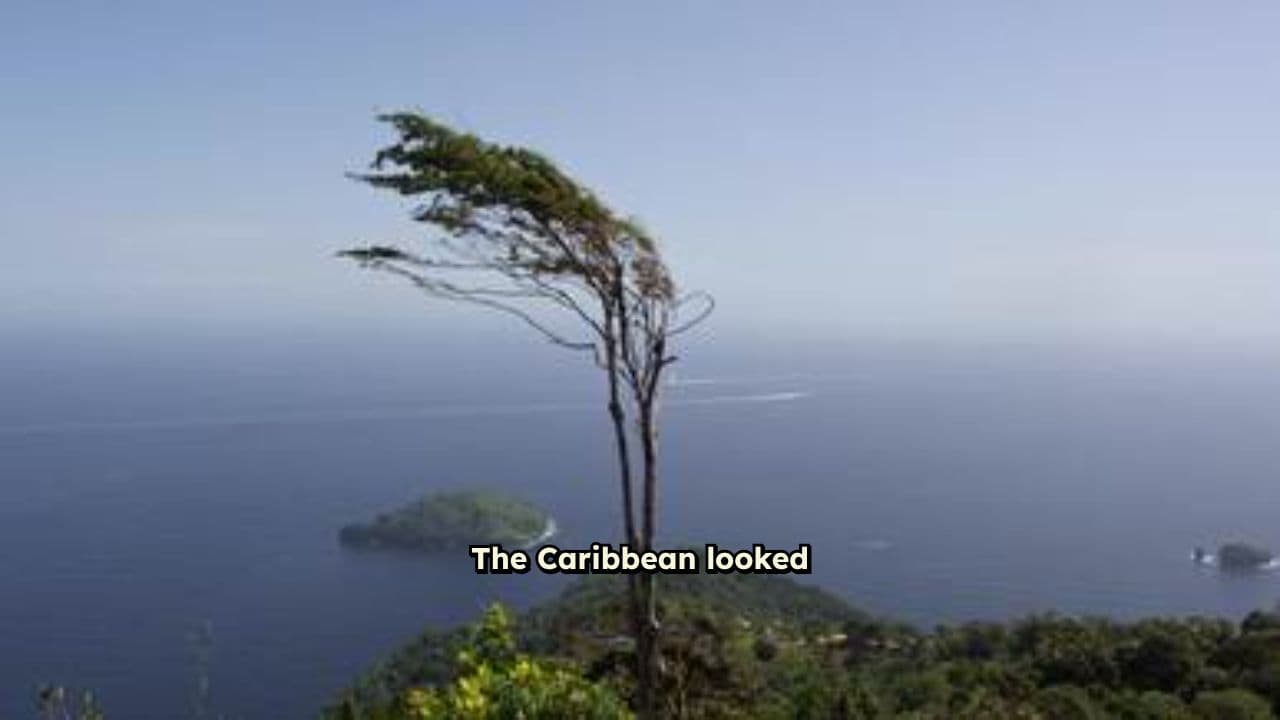 Bait in Venezuelan Waters