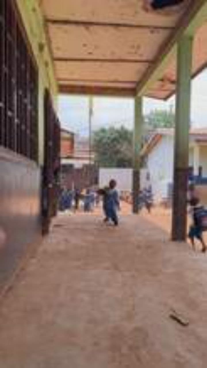 Rise and Shine at Showclips