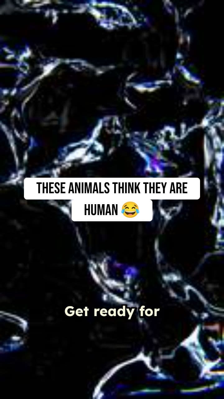 Animals Who Think They're Human