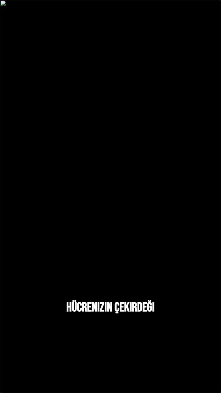 Çekirdeğe Giriş: NLS ve İmportinler