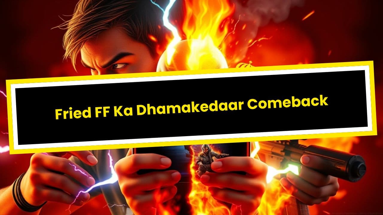 Fried FF Ka Dhamakedaar Comeback
