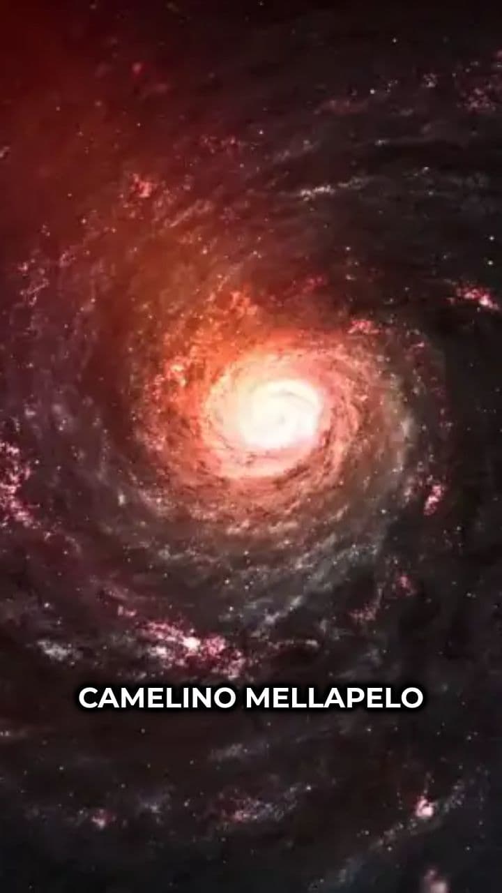 The Mystical Journey of Camelino Mellapelo