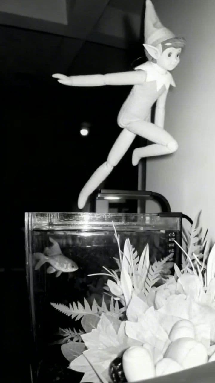 Image transform video