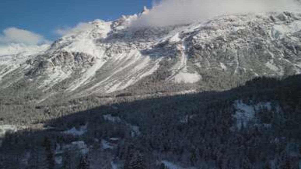 Stay and Stare at the Sky