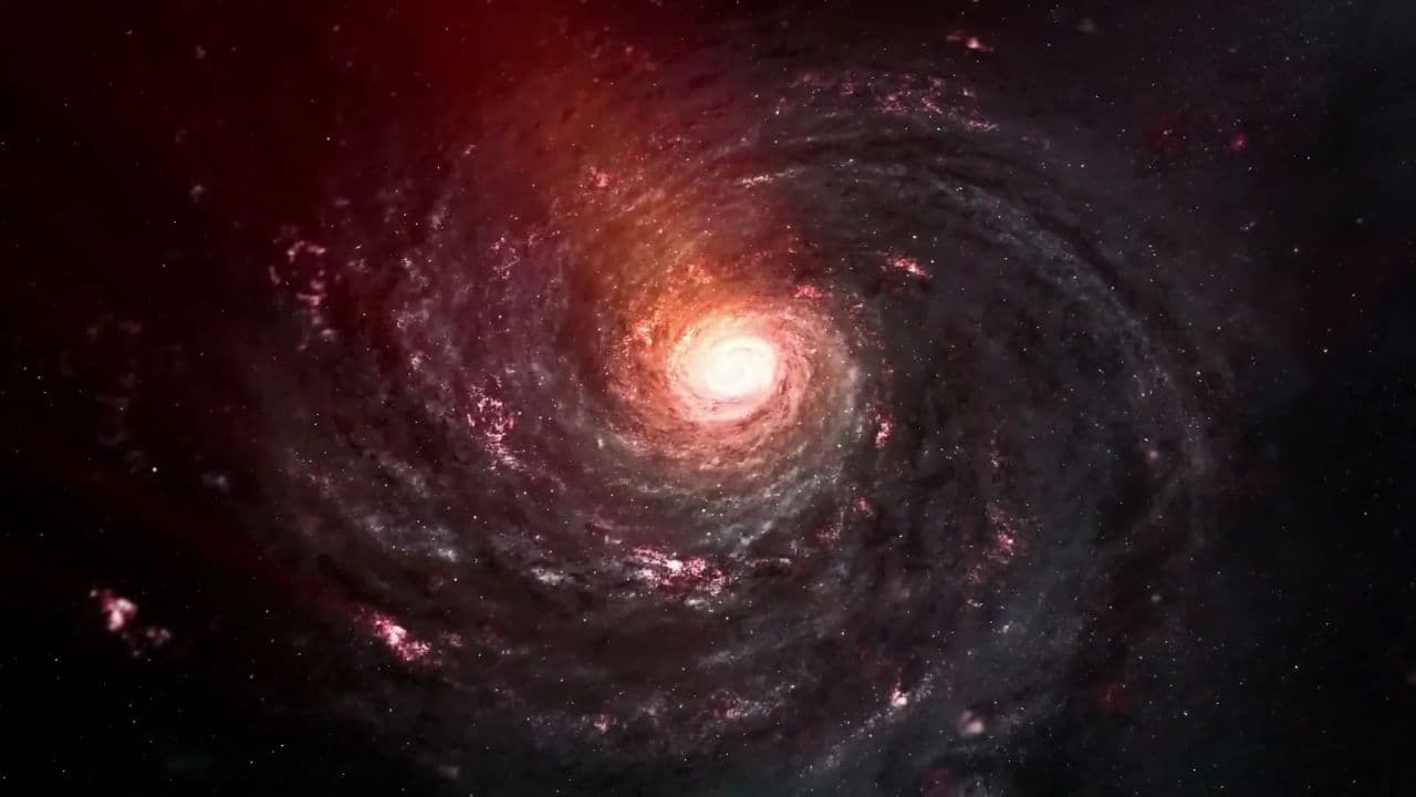 El secreto del zorro y la rosa