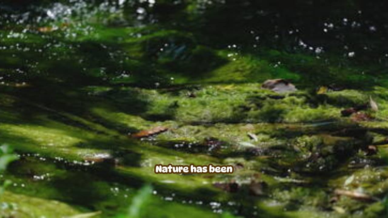 Design Inspired by Nature's Wisdom