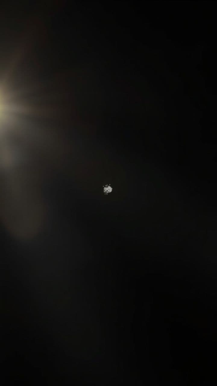 Journey of Love and Loss