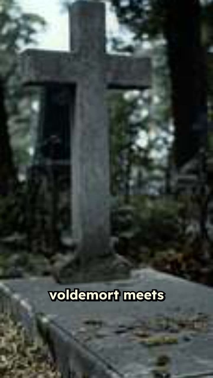 Cemetery Duel: Voldemort vs. Pure Wizard