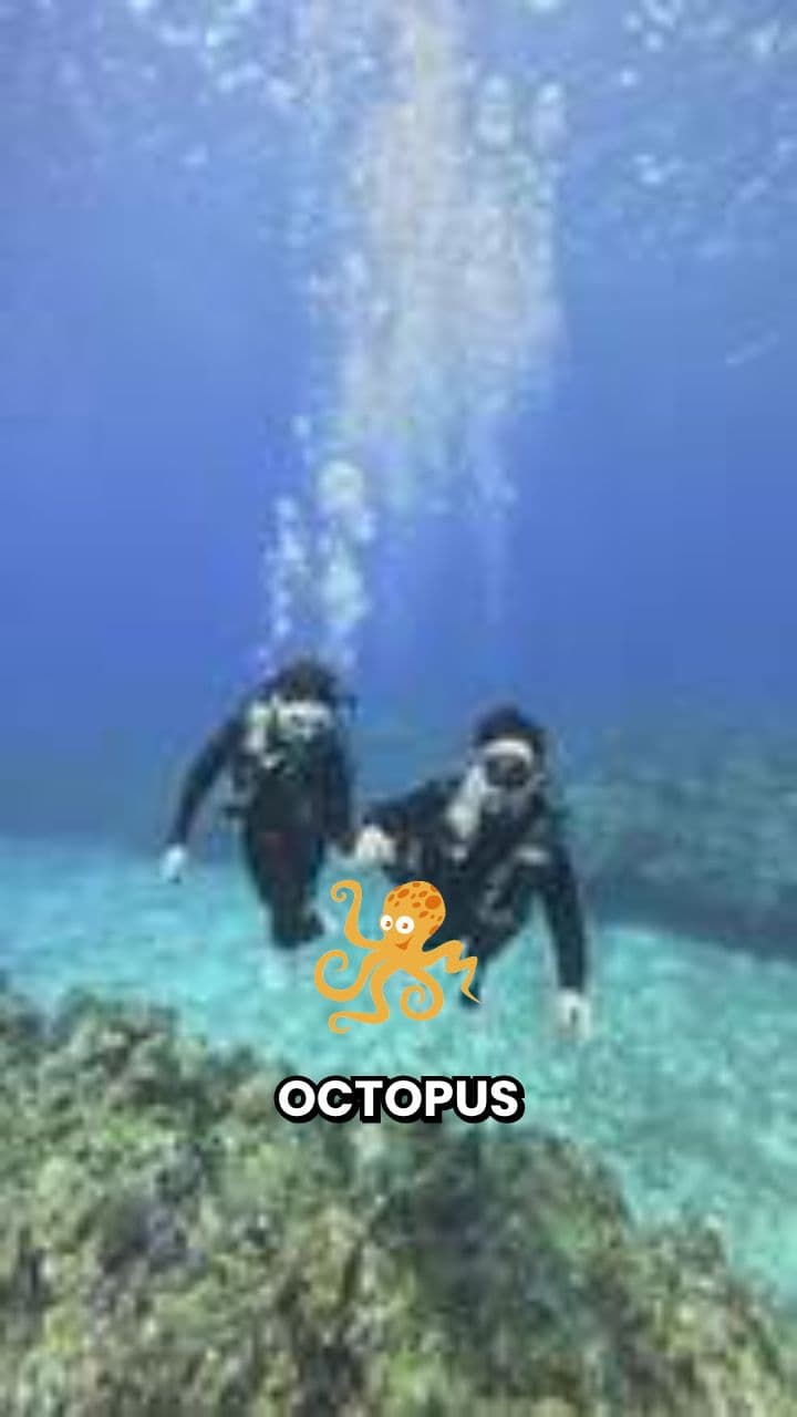 Octopus: Teen Dil, Neela Khoon