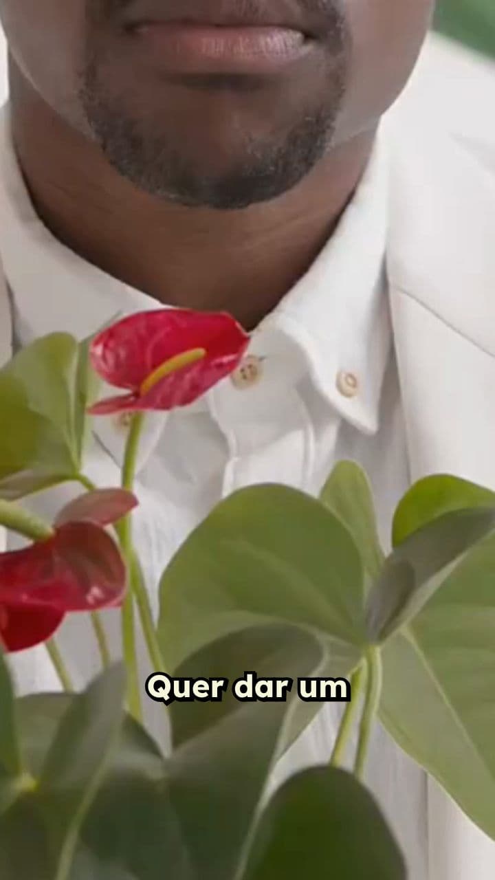 A Magia do Lírio da Paz na Floricultura