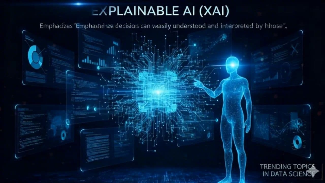 Image transform video