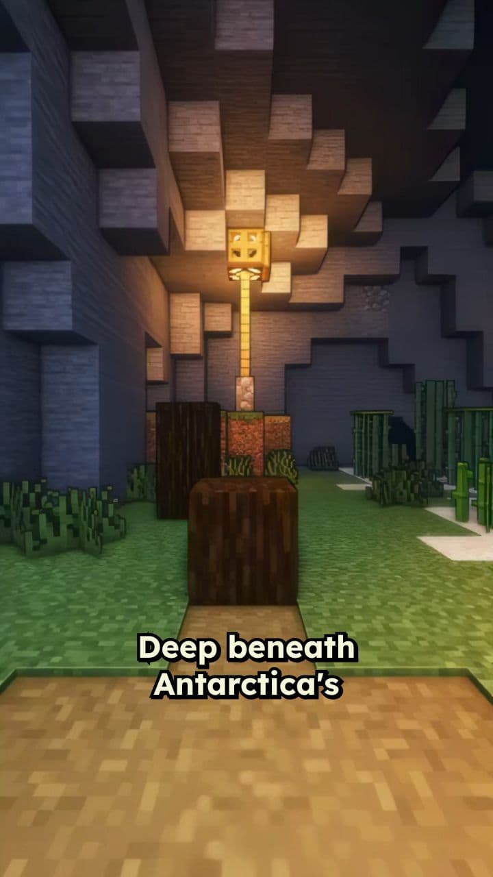 Blood Falls: Life in Extreme Conditions