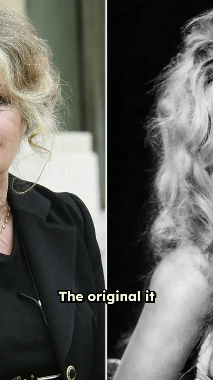 Brigitte Bardot Dies at 91