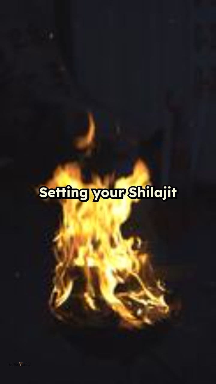 Shilajit Quality Test Results