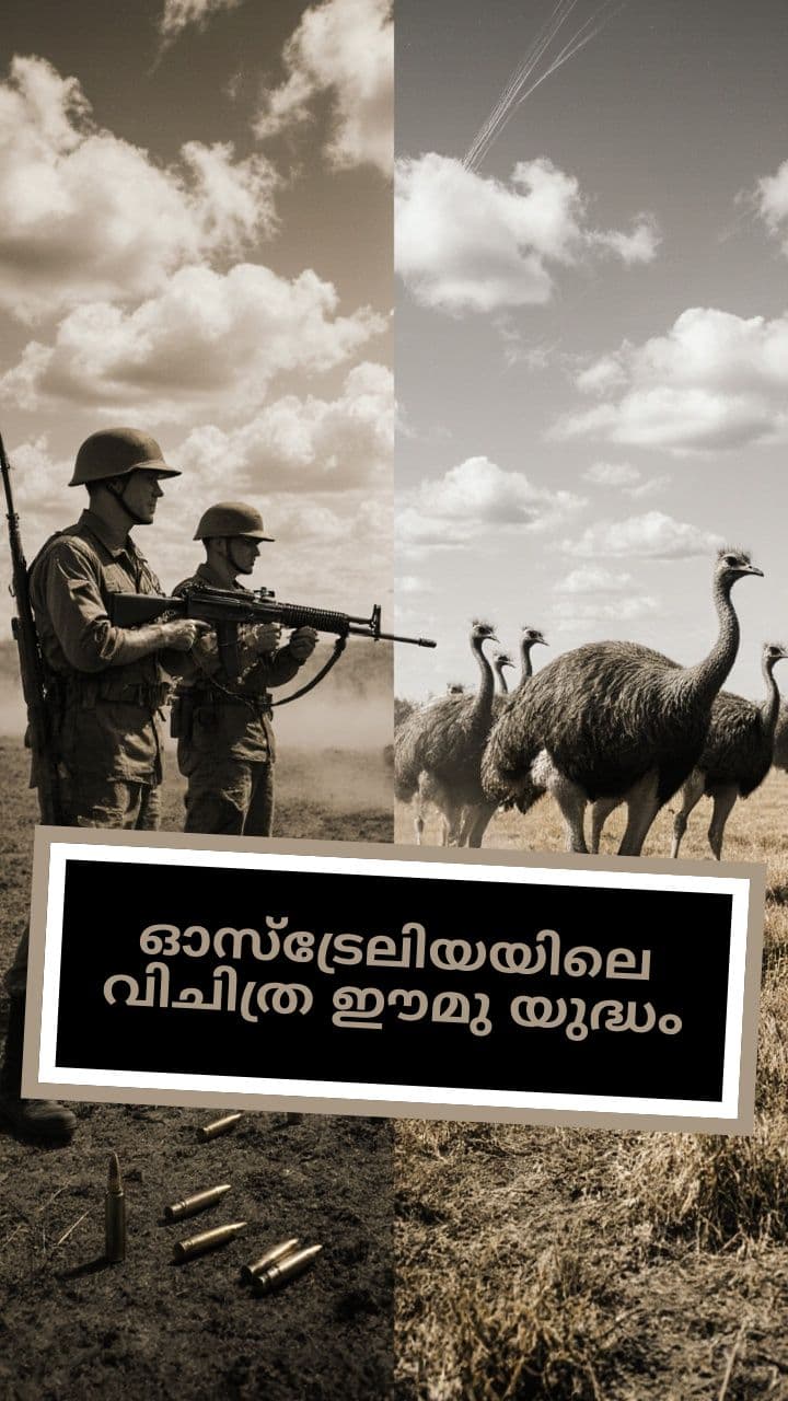 ഓസ്ട്രേലിയയിലെ വിചിത്ര ഈമു യുദ്ധം