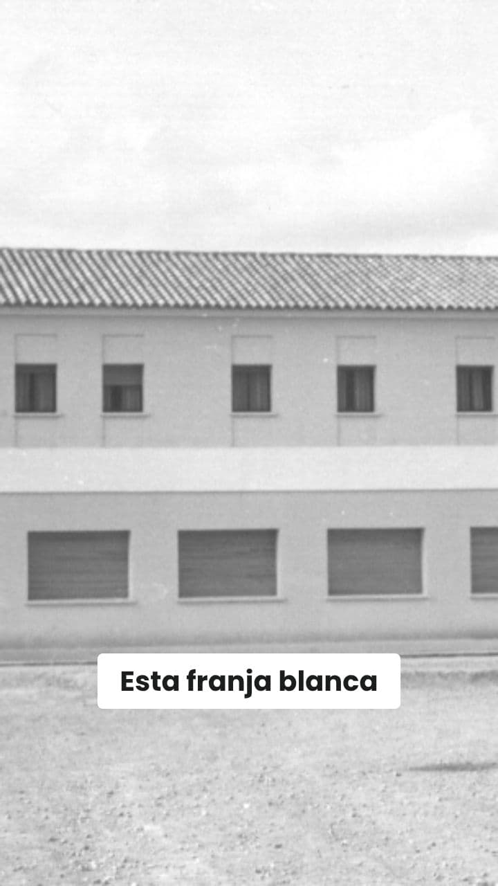 Arte y dedicación en la comunidad