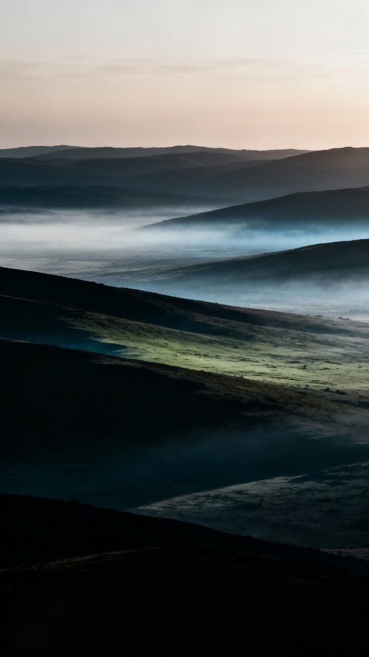 Decisión de un corazón humano