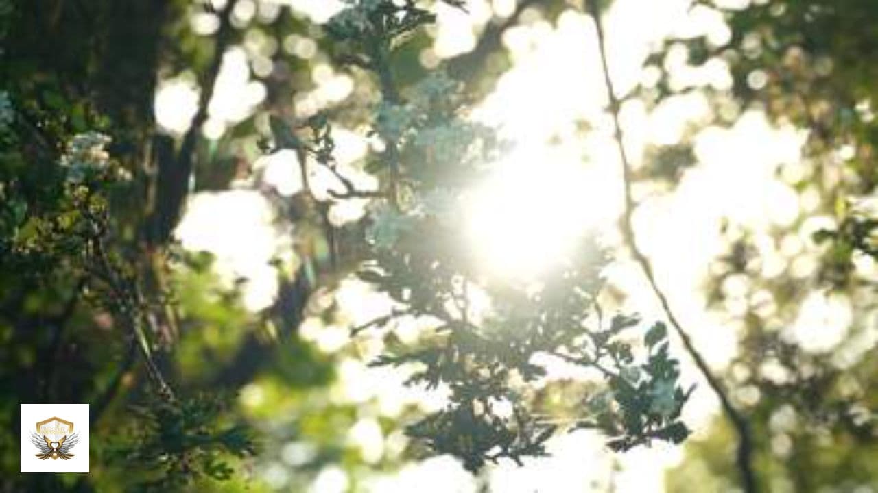 Speak Life in Jesus' Name