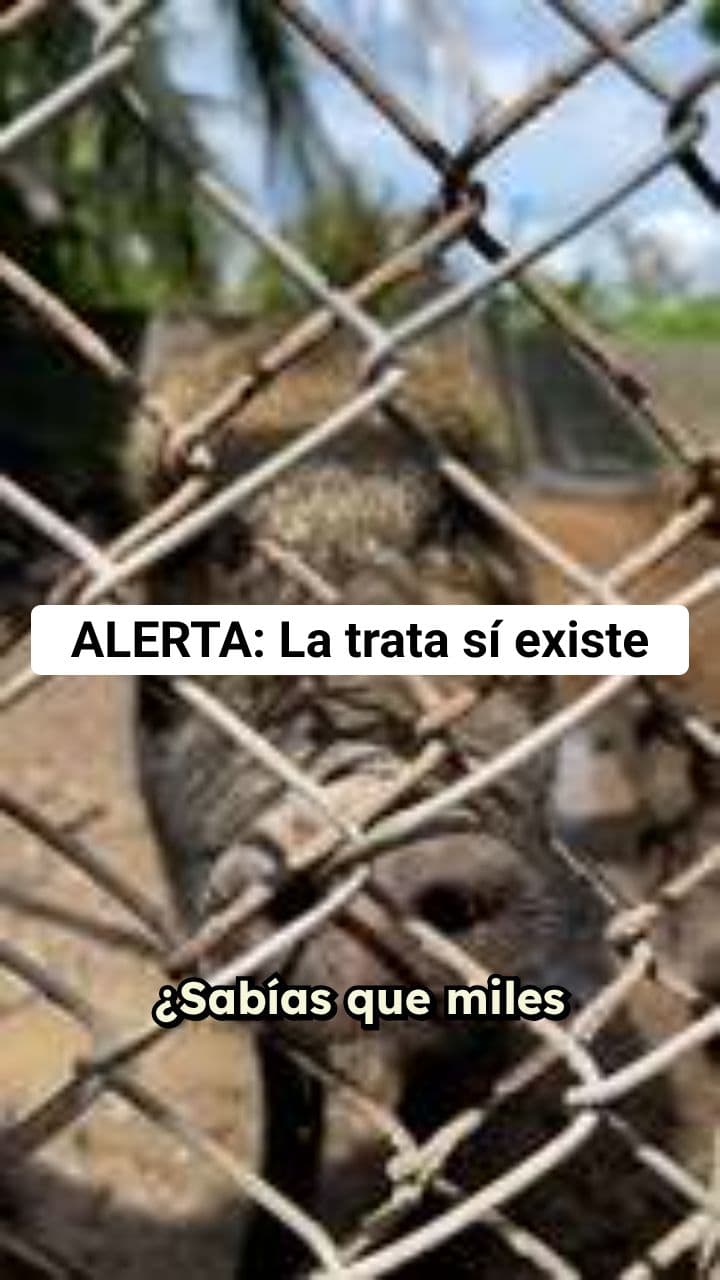 Prevención de la Trata de Seres Humanos