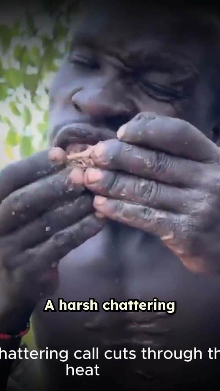 The Amazing Human-Bird Partnership