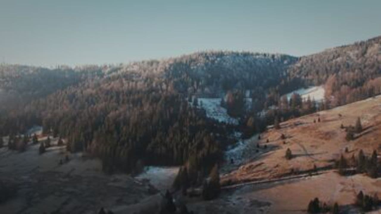 Me diste ilusiones y te marchas