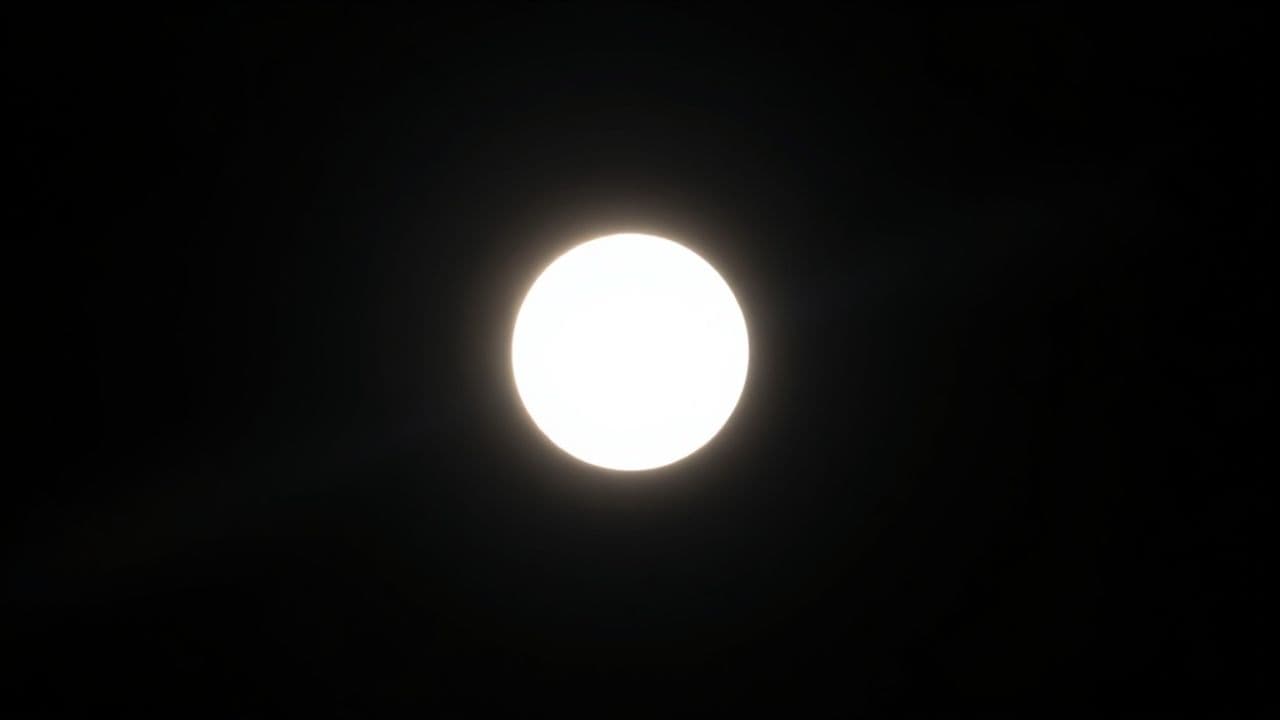 Voxel: 20 Years of Vision and Growth