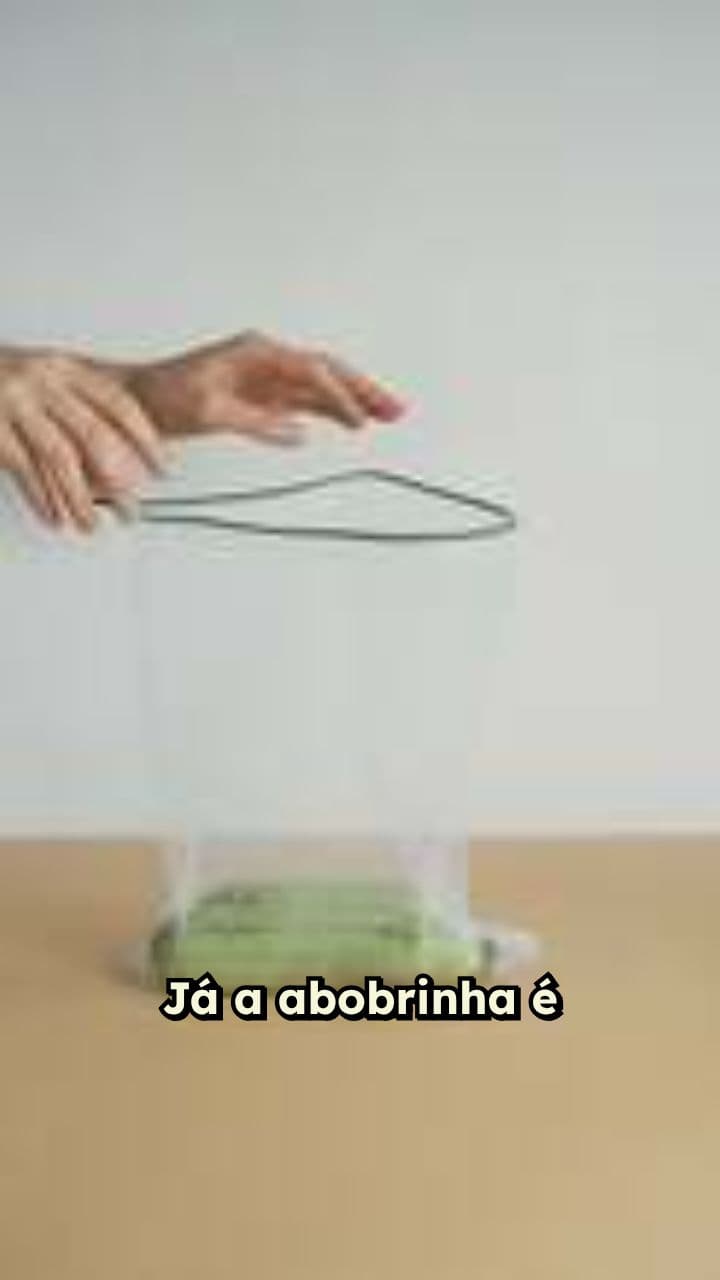 Substituições Inteligentes e o Mito da Cenoura