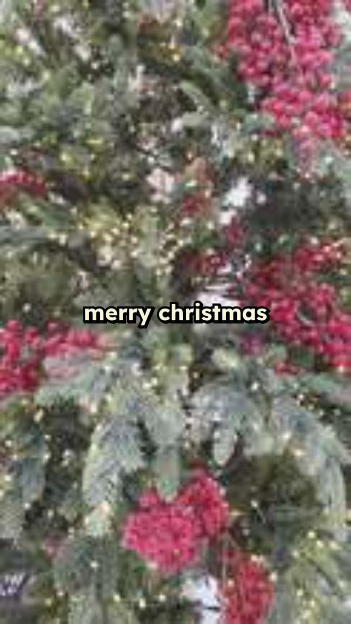 Merry Christmas Wishes