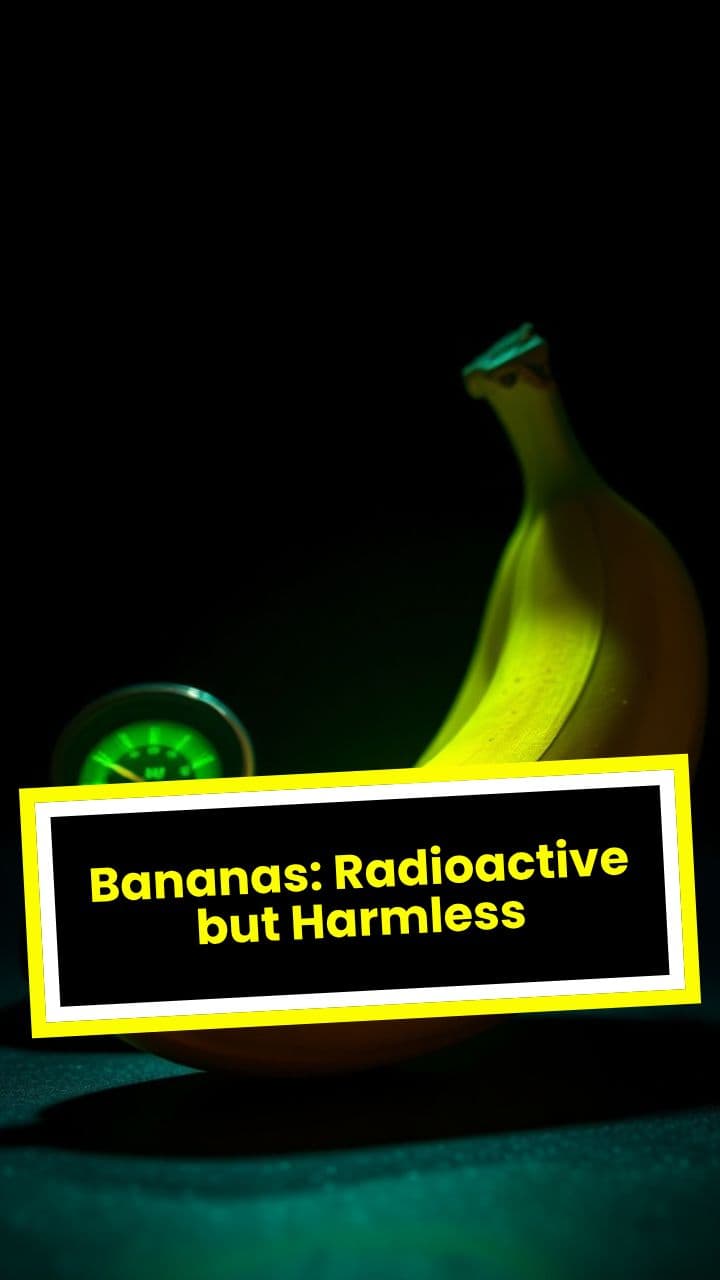 Bananas: Radioactive but Harmless