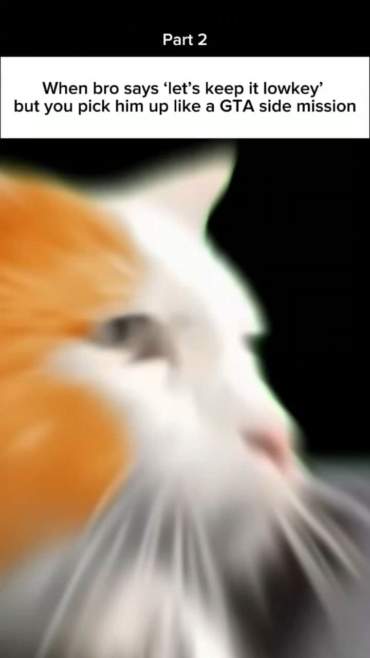 Dreamy Nostalgia: A Synthwave Journey