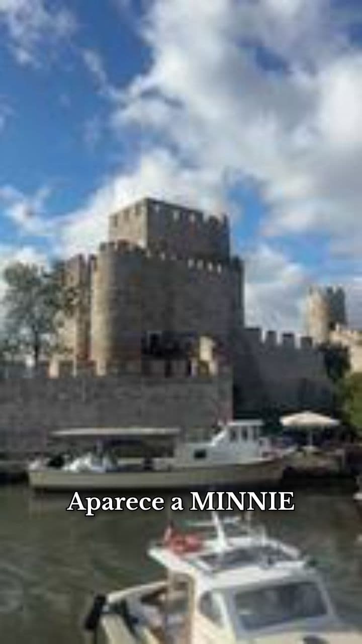 Minnie no Castelo da Bela Adormecida