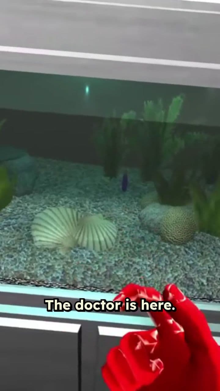 The Doctor's Doody Night