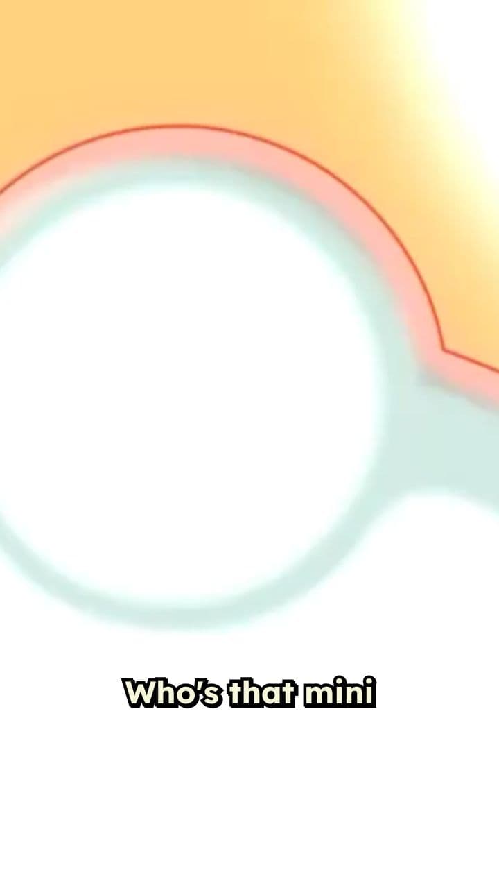 Identifying Mini Beasts