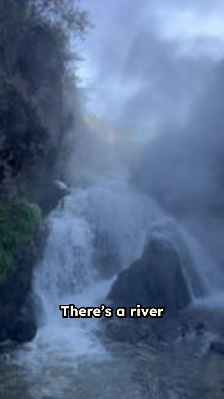 The Amazon's Boiling River